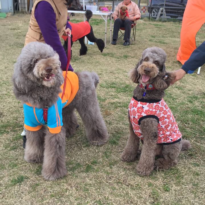 D2eaad27 dcbd 4752 a3d1 6591ea9c492a