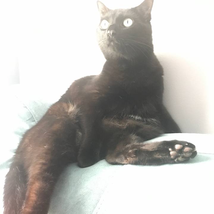 D2eb2840 ac61 4b7a a7bc da998aa2a71b