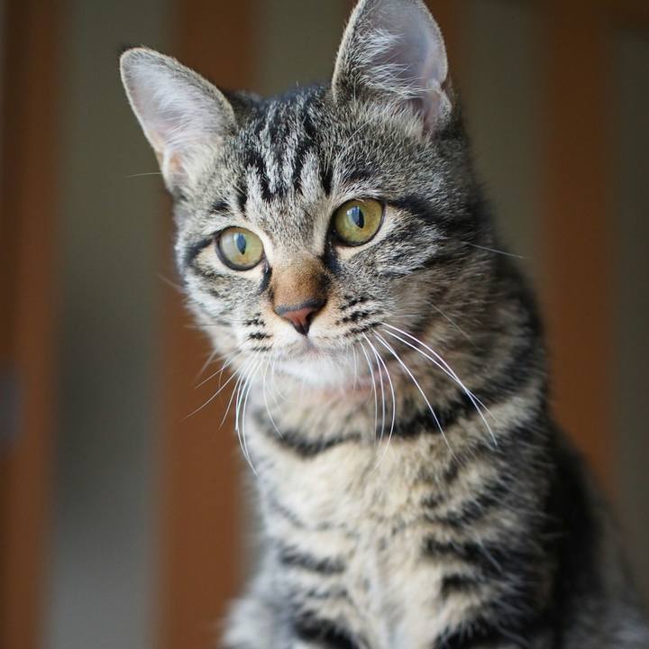 D2eb7e9e 2ffd 4988 b904 6b612ba7a19c