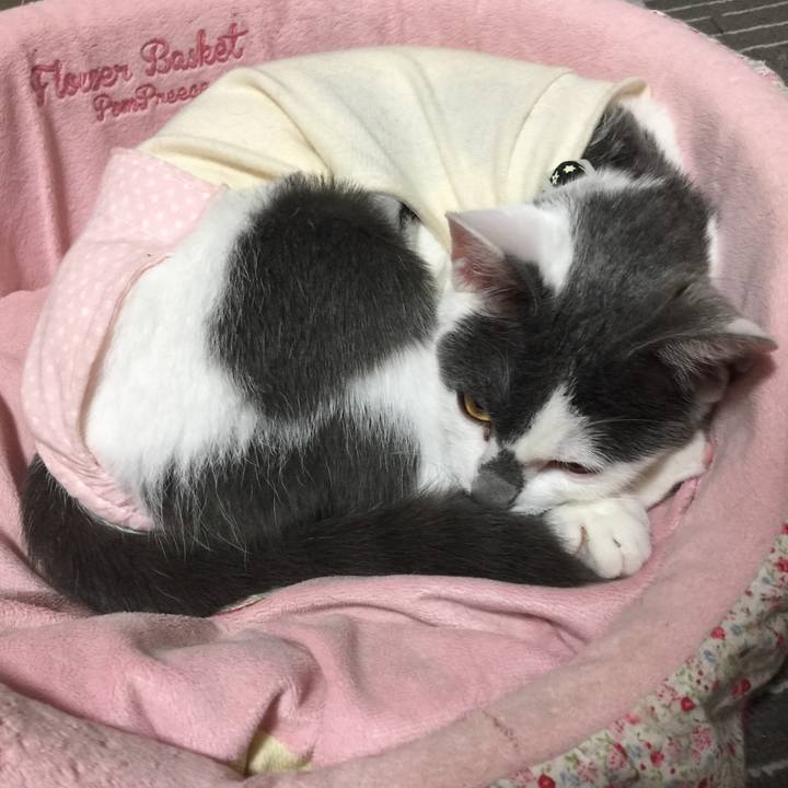 D2ec4fd9 c6d3 4790 a5bc f938b9a23850