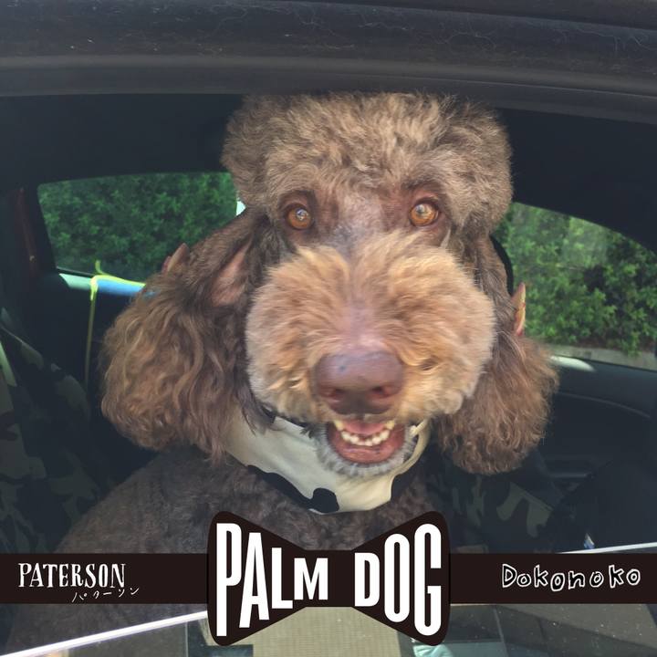 D2ec9219 6875 4f9b a304 be1d981e156d