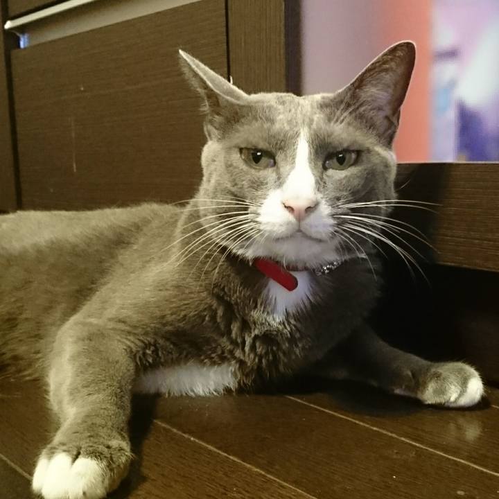 D2ecac92 1894 4541 9f43 0d998d8ab974