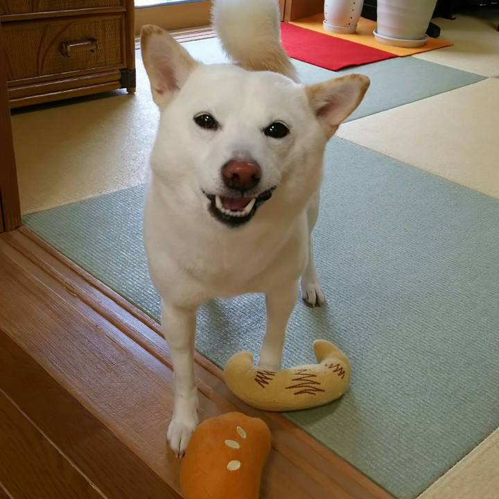 D2ecd709 0ddd 402a 9abe 5b36bb42c1f1