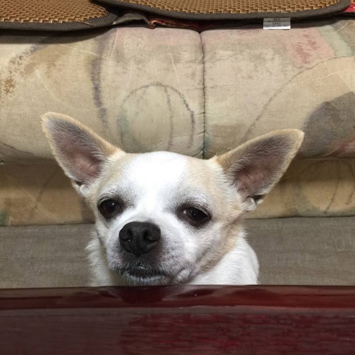 D2ed1a2b 1432 425c a38e 4b5f7496b684