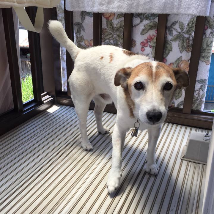 D2ed2cc5 53d2 4b72 a920 1159859203da