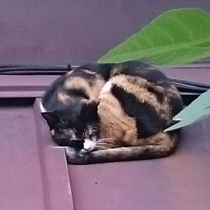 D2ed5da1 17d9 4bd9 bfe7 f511f84ae185