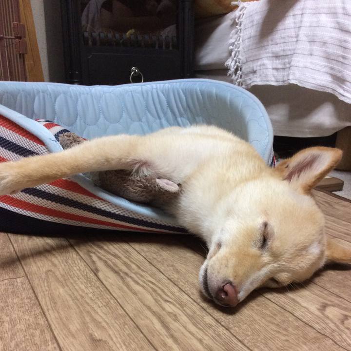 D2ed7d89 06a3 453f 851f 5aedbdebb1bf