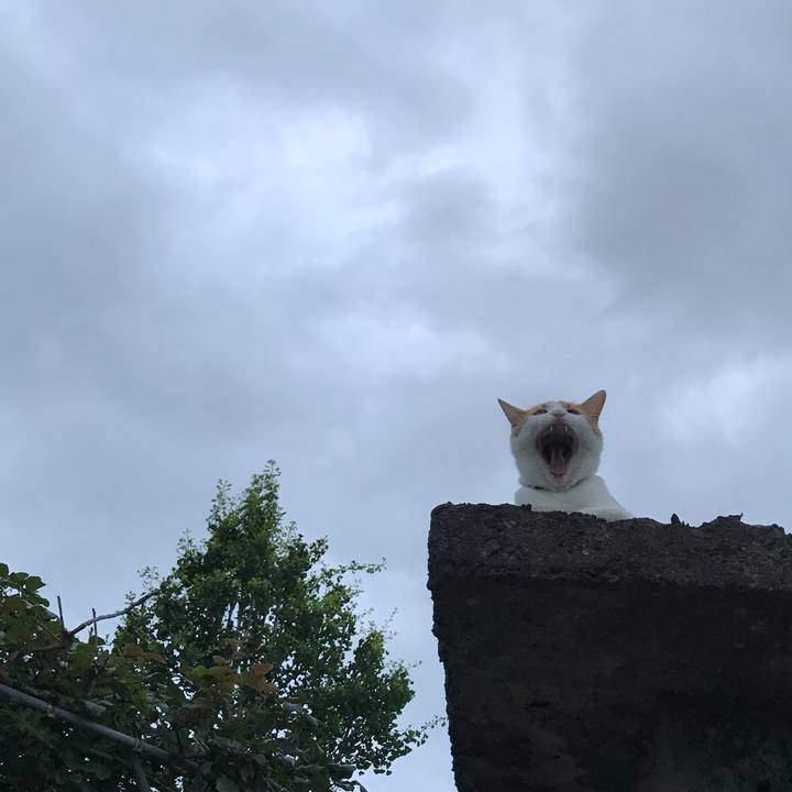 D2edcd88 4bb4 4a7b abab d08420d8c0aa