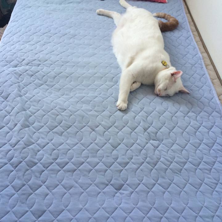 D2ee53a9 9a54 4511 9e35 ab00d032642e