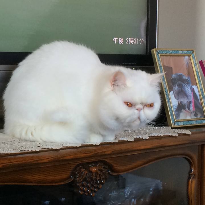 D2f07ba8 a408 467e a249 aac8e4052644