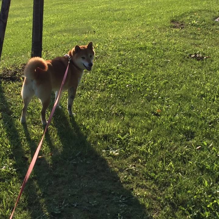 D2f08da5 ee89 406d 8c80 b6f6c087e778