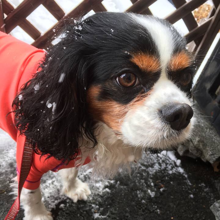 D2f0be12 8031 494f b3ae ccb2f92fc472