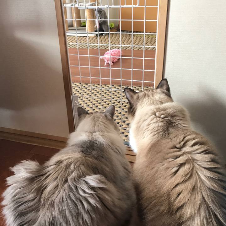 D2f188c4 0a4f 4d1b a1b1 341ca3747c7e