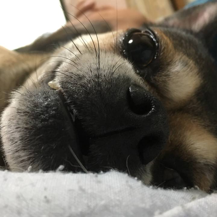 D2f21f9a fd44 4c8e 9d4f 4af5c4bcaf19