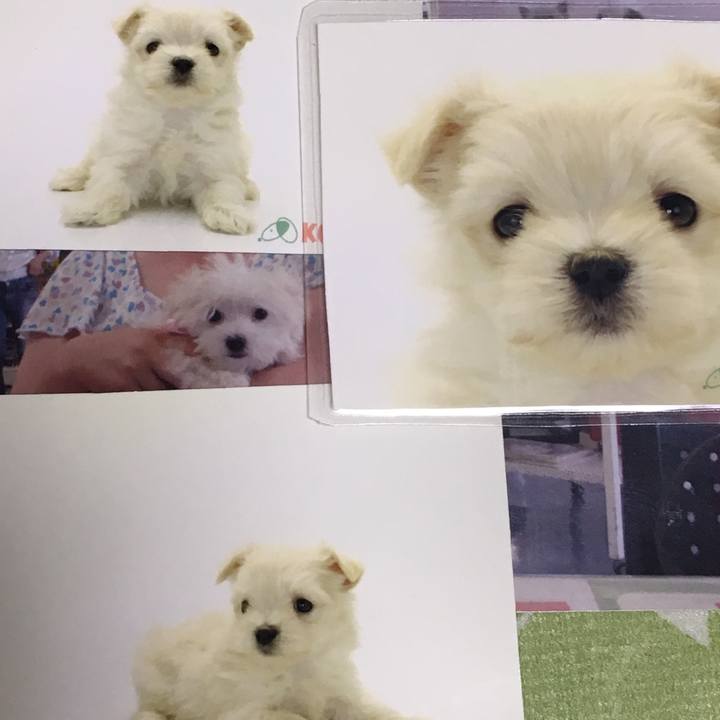 D2f25231 91d7 416d a0ff f10350b624a3