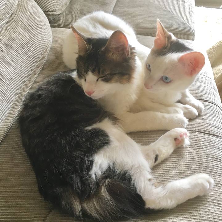 D2f27311 94dd 42d2 8d79 4689e5e6404d