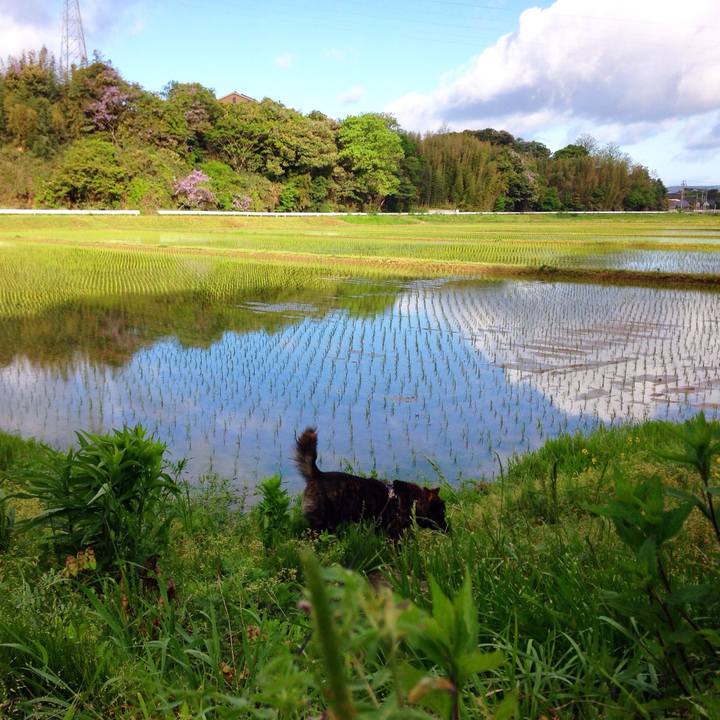 D2f276f0 1a82 47d4 8118 14bd6885c533