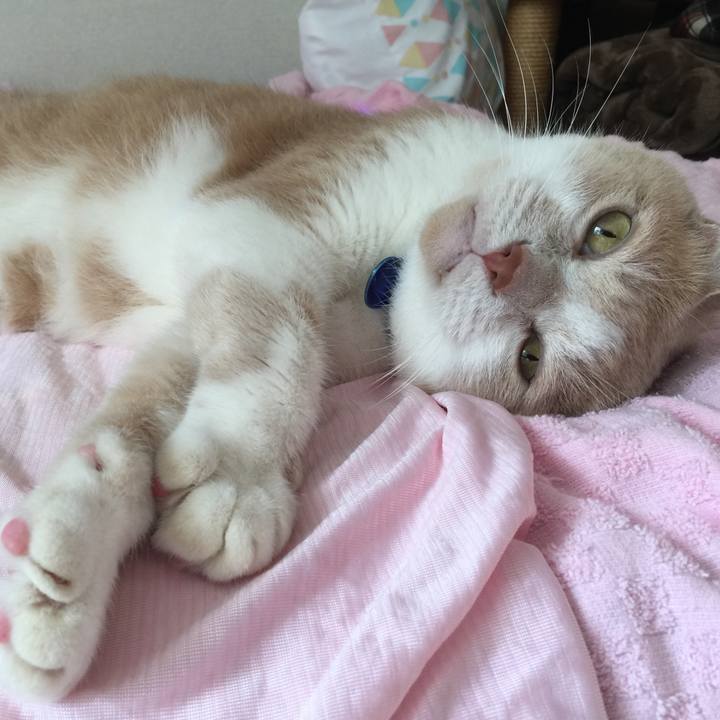 D2f2c6fc c26e 47f7 b9a2 b6016e4061d5