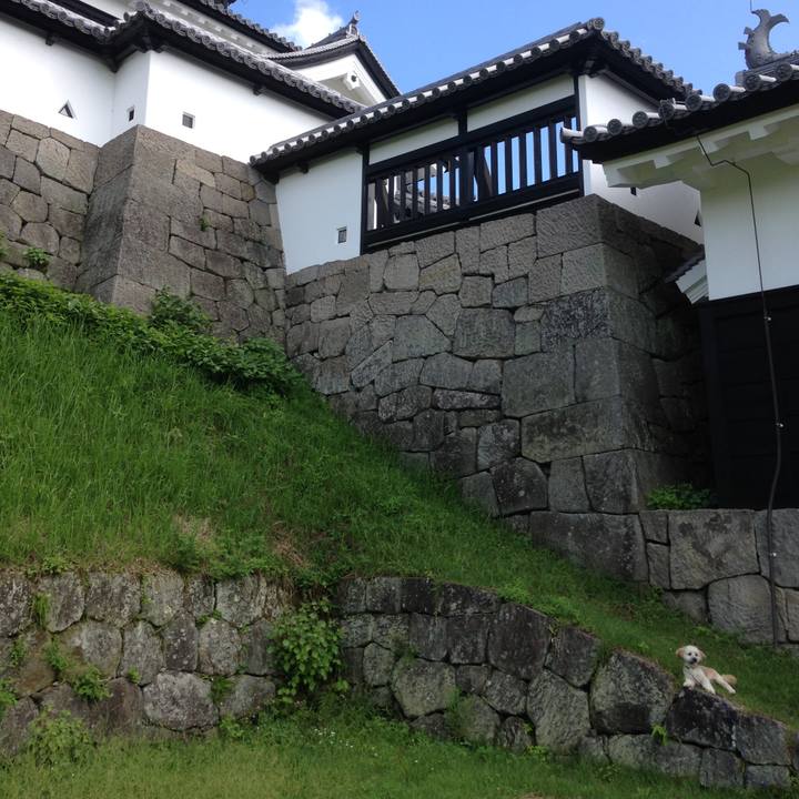 D2f30783 ad1e 43ab b1be 8a0ab4d2c7e1