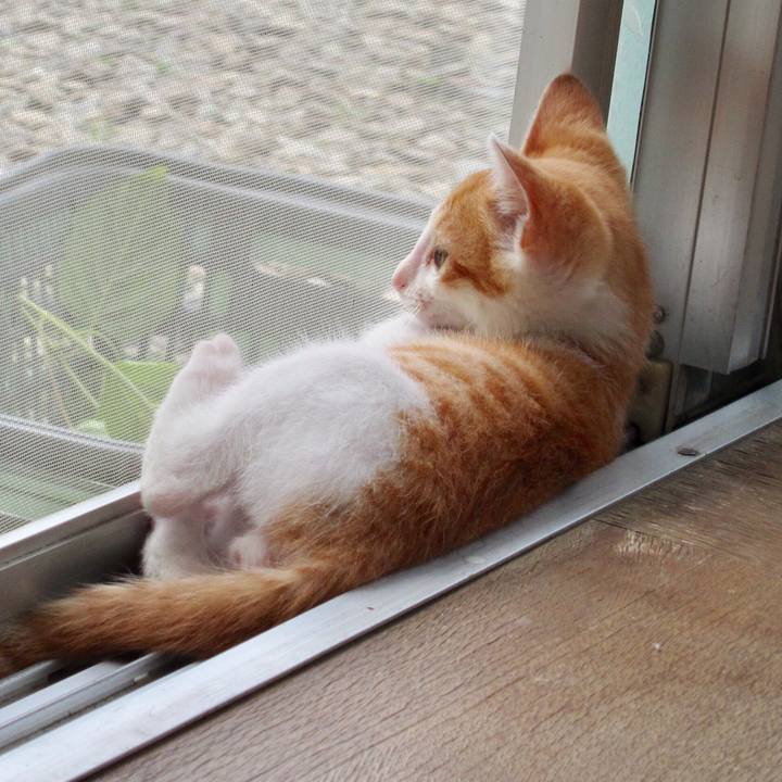 D2f31f3c 4ddf 464a 9b72 2ec8ae46e877