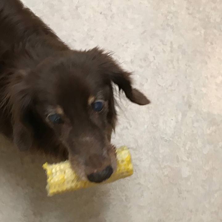 D2f32002 4bd7 4595 908f 9078890ddac2