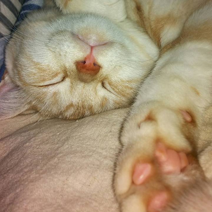 D2f352a7 7bec 4777 8640 cd843c267385