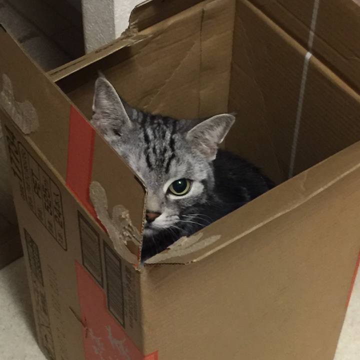 D2f45176 d937 42af 9861 5bb914e9d0ad