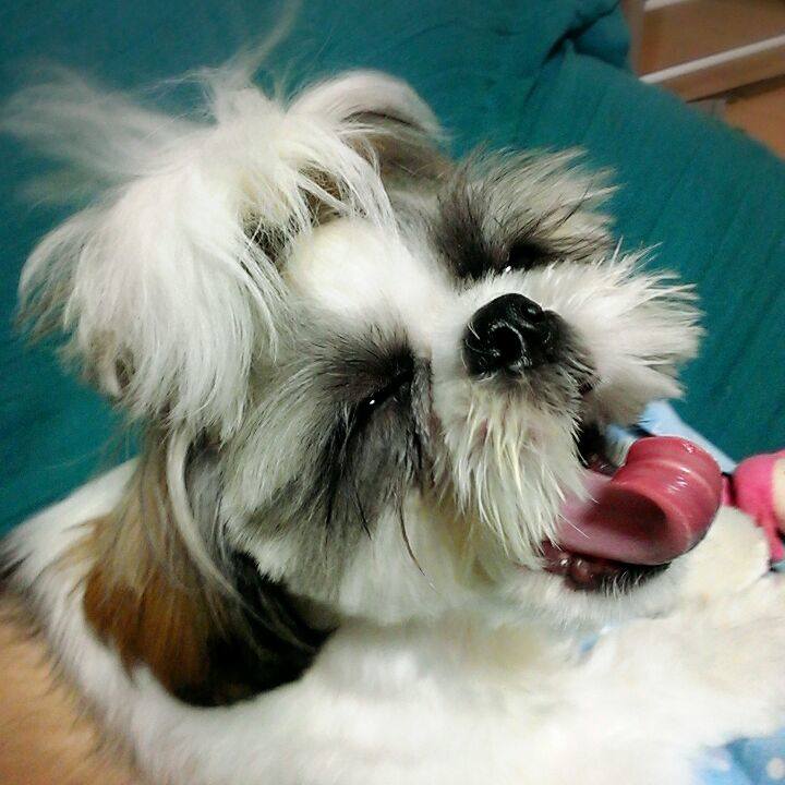 D2f47dfc 0cc9 4f04 b5ab 4d7de069b900