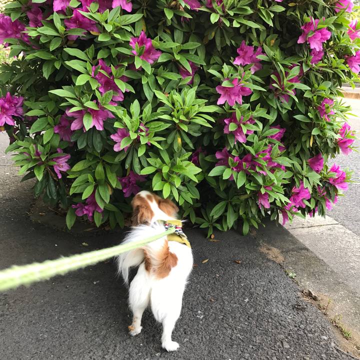 D2f5396a 36c0 41fe ab1b 7cddd579f0f4