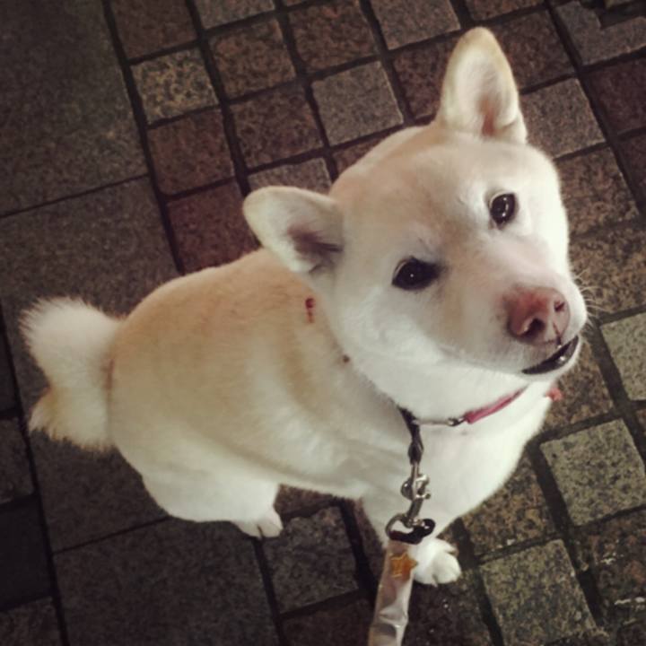 D2f53cac adf5 4936 ad0d da3dca60a550