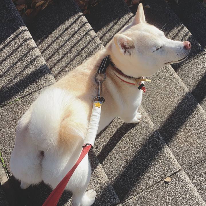 D2f57500 edaf 4b95 a13f 8cc86bad592d