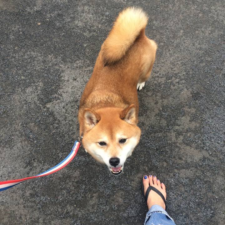 D2f5c479 2be7 4e07 baae 88dee2115e70