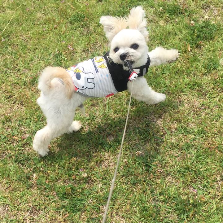 D2f6211a df69 4fe0 a724 6c18d0ff8041