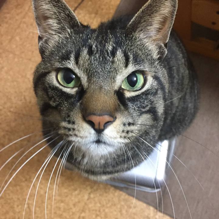 D2f664a9 6dfe 4e9f b340 39b783539712