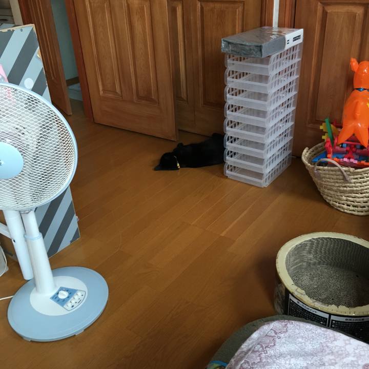 D2f6b9a4 67f7 4805 b4bb b94fdb3e515f