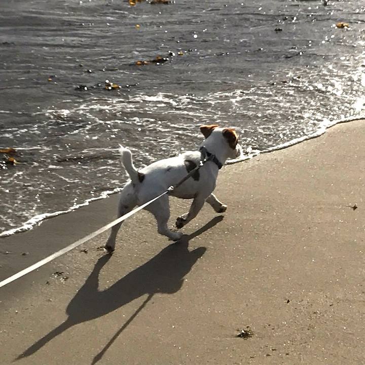 D2f74316 d3b8 491d 8a96 023160c288dd