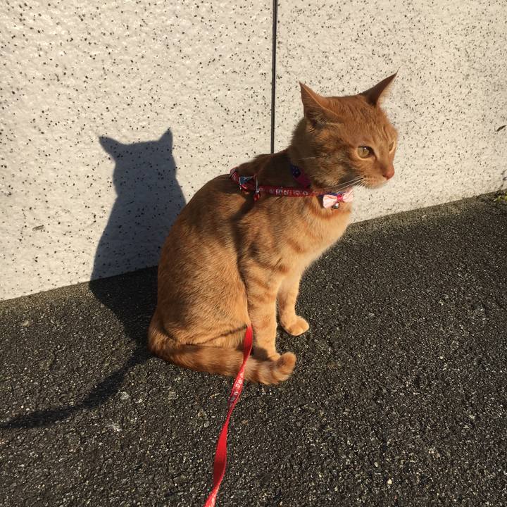 D2f80816 6eed 473c 9733 12d89ddfc2ba