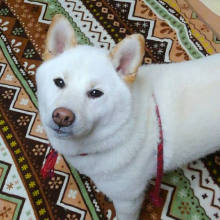 D2f888aa 56fb 4e28 891e 53b07a1e8c6d