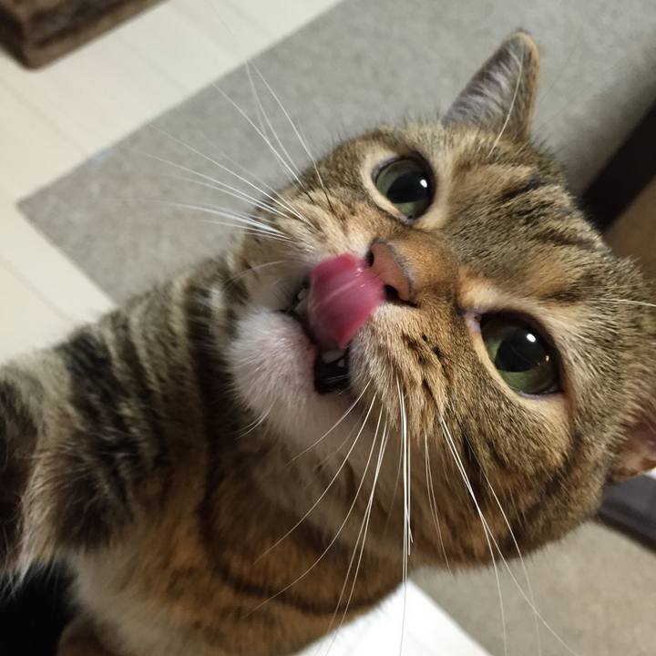 D2f88e4e 11df 4476 b24c 3f4461d0a6cf