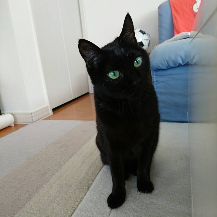 D2f8ac01 4283 4006 9587 6de0fbf68ac9