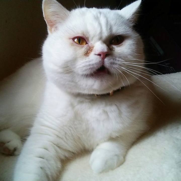 D2f8c69b 30bd 45cc b9a6 01a25ac1a195