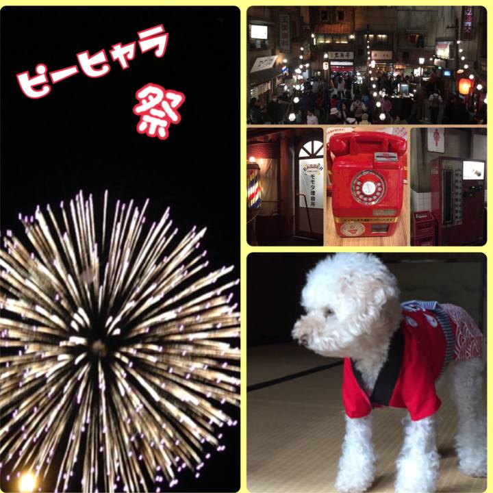 D2f923ed b9f2 405f 935d 988871b4f174