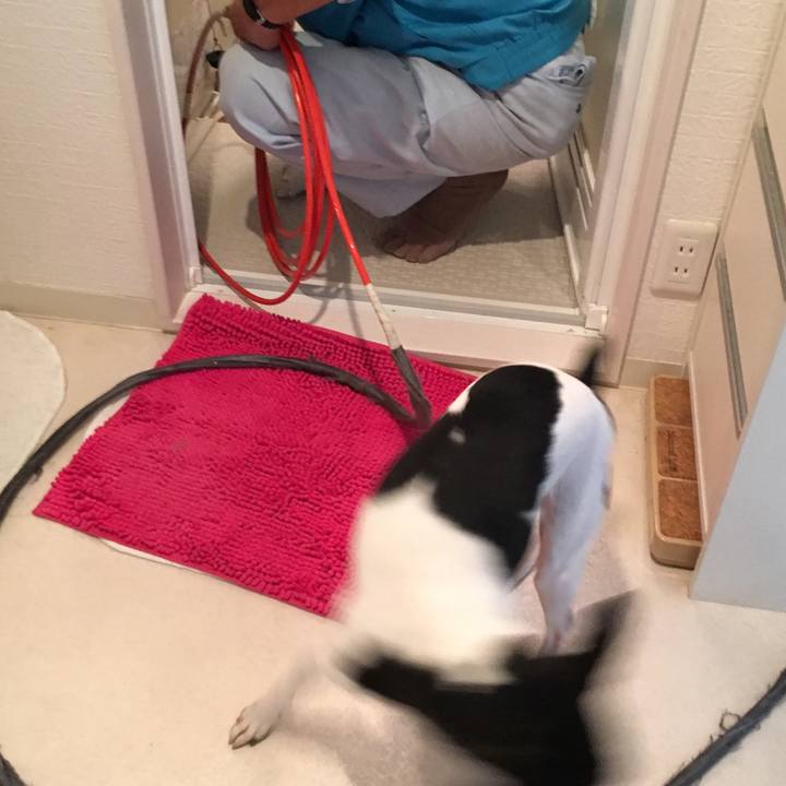 D2f9f9b8 e597 43c3 86e5 67462031a622