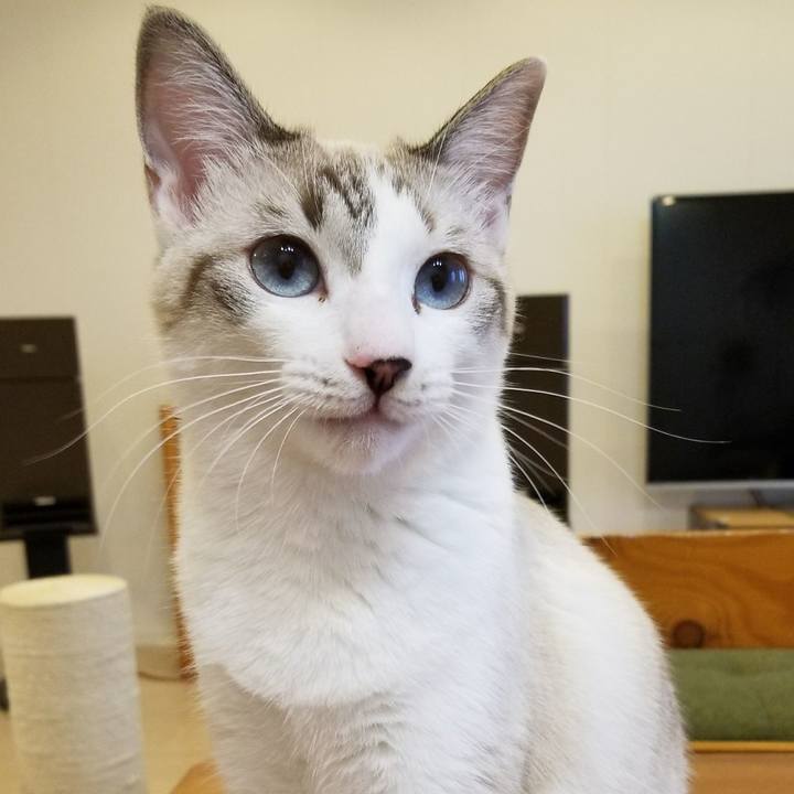 D2fa13c0 59c4 41fe b87a e0d922bd3f6d