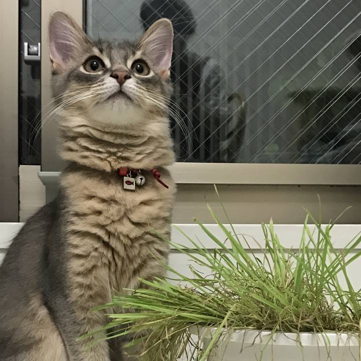 D2fa7272 e0a4 4e87 b039 59eb38dd5f4f