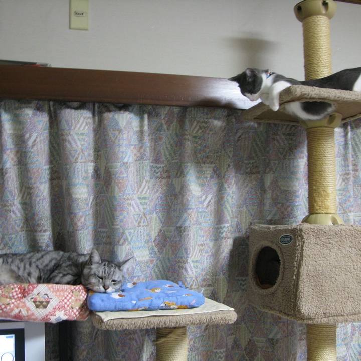 D2fa7dec 4f51 42ac 9698 9cda307fcd38