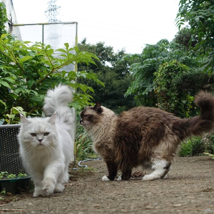 D2fa999f 610d 4dc2 92d3 1c5587acbc32