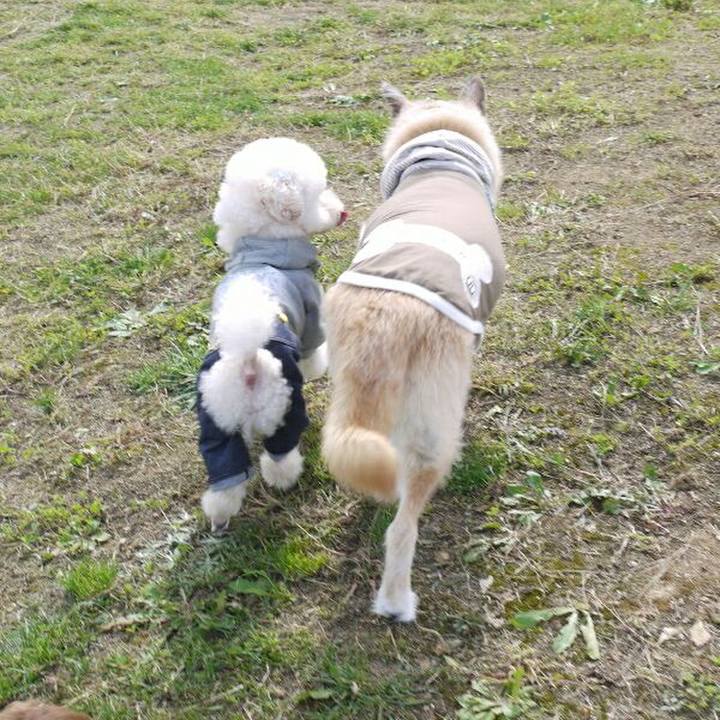 D2fb6236 a45d 474c 86a2 c3724bea9836