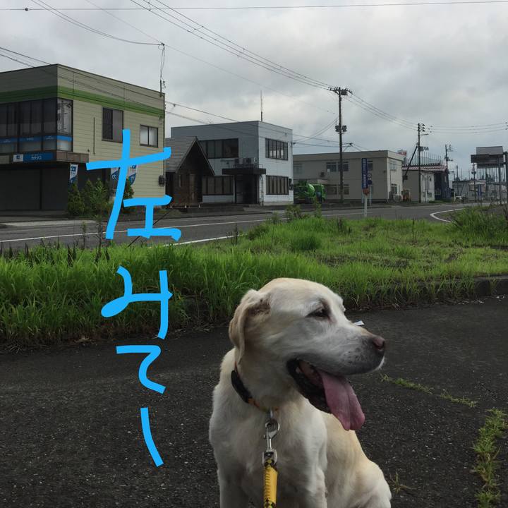 D2fbbda7 04bf 4473 bb8f ff0962b3d539