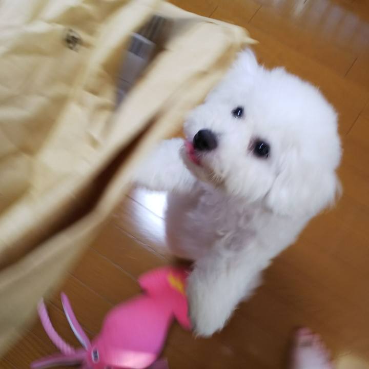 D2fbcbb3 0637 4dd0 b3d1 e118b7326b86